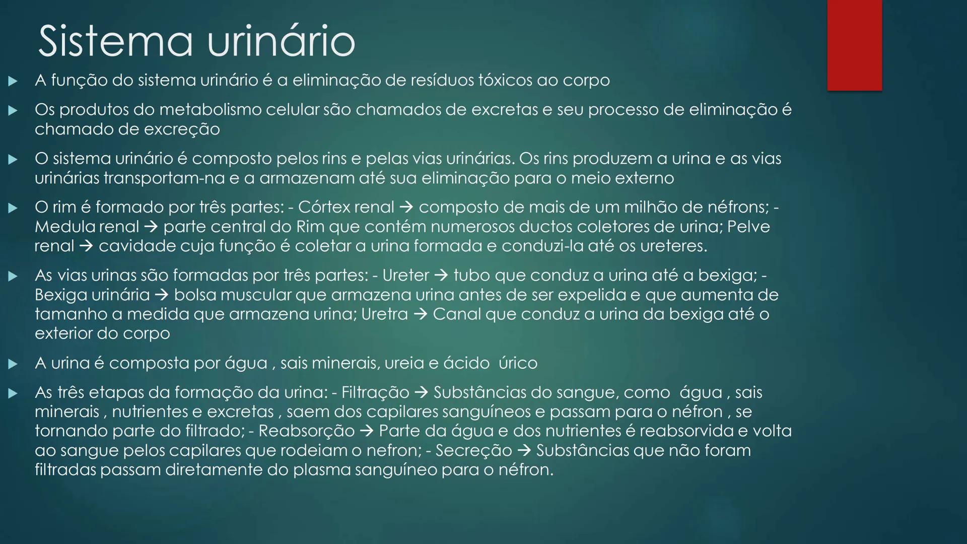 # Ciências
SISTEMA URINÁRIO, SISTEMA GENITAL MASCULINO E FEMININO,
VELOCIDADE MÉDIA E ACELERAÇÃO MEDIA # Sistema urinário
* A função do