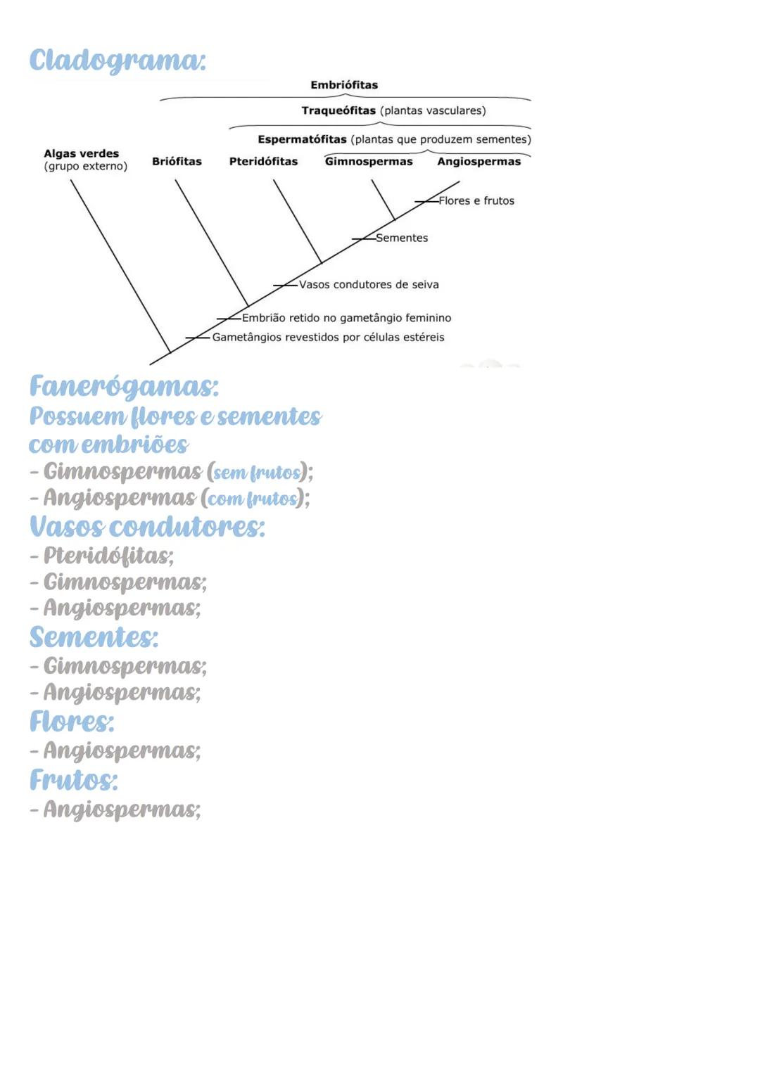 # Botânica
- Eucariontes e pluricelulares;
- Autótrofos fotossintetizantes
(por conta da clorofila)
Criptógamas:
Não produzem flores, frutos