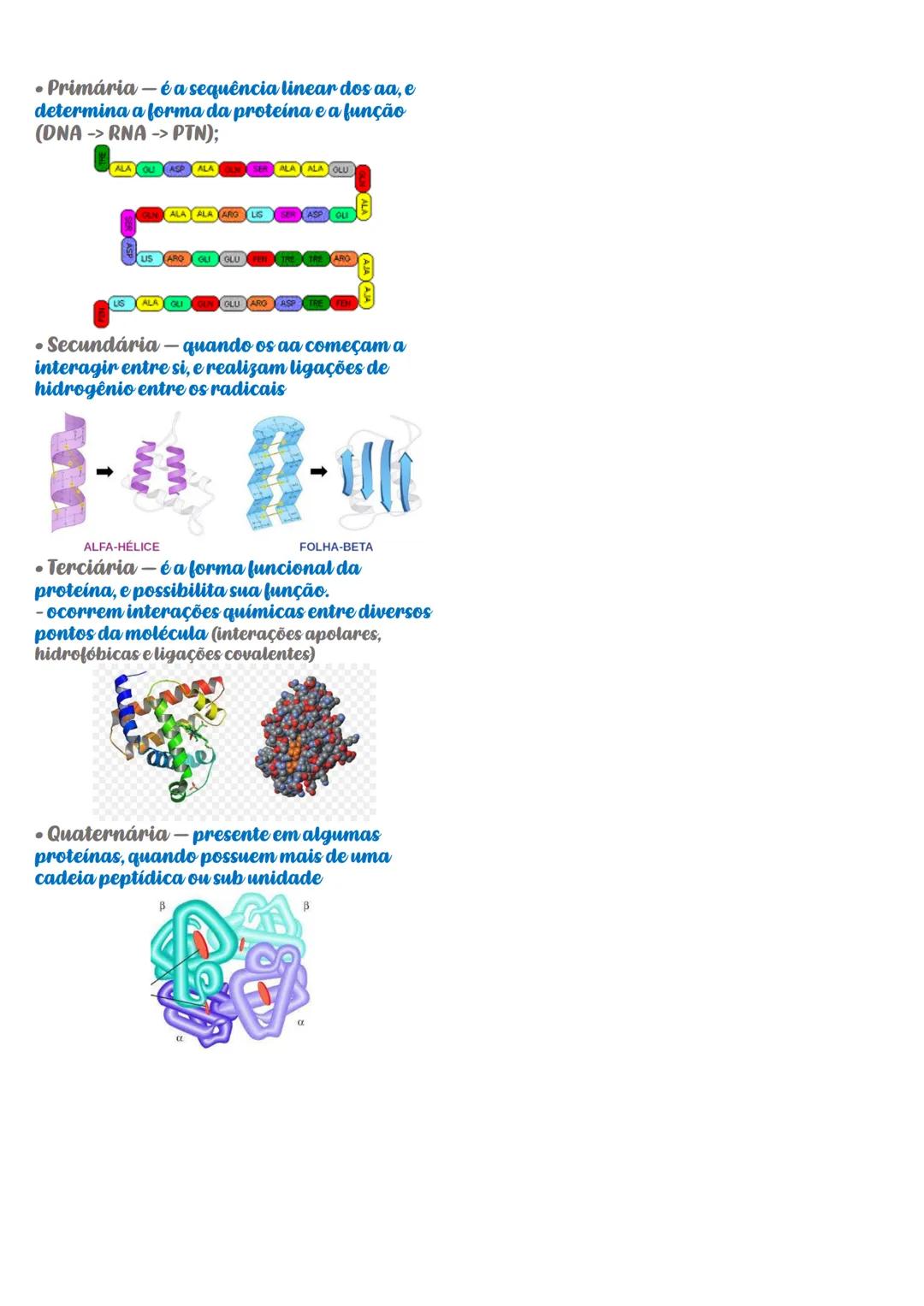 --- OCR Start ---
Proteínas
- São macromoléculas orgânicas, que
são formadas pela junção de
aminoácidos.
- São polares e tridimensionais.
Fu