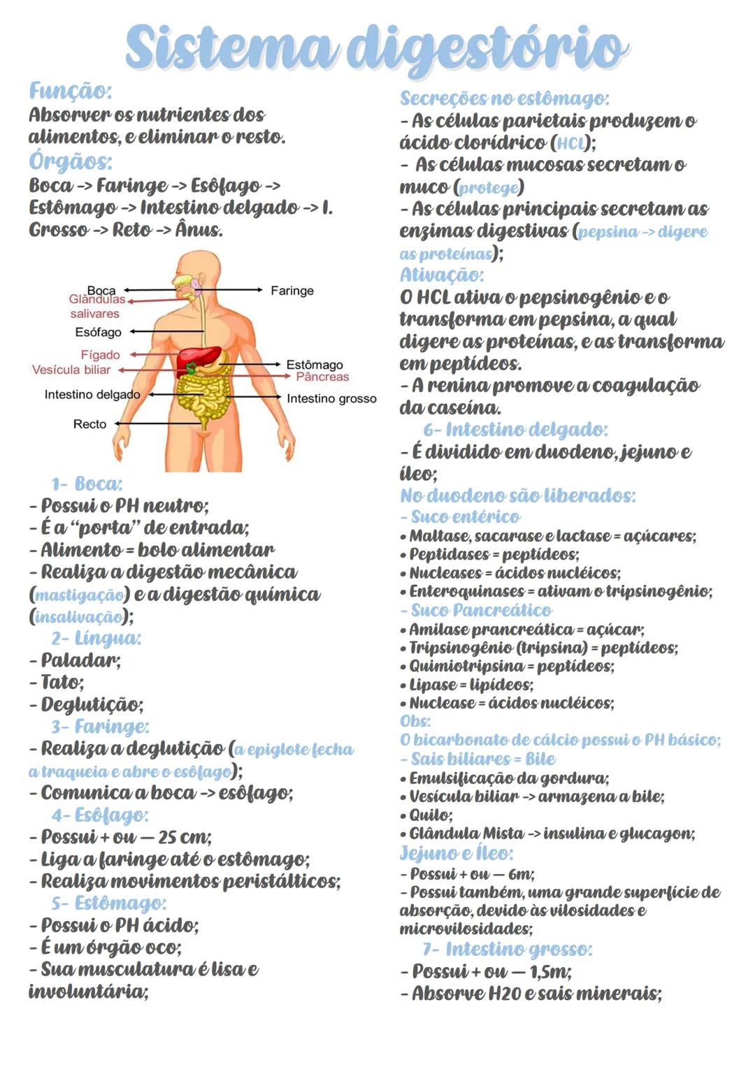# Sistema digestório
**Função:**
Absorver os nutrientes dos
alimentos, e eliminar o resto.
**Órgãos:**
Boca -> Faringe -> Esôfago ->
Estôm