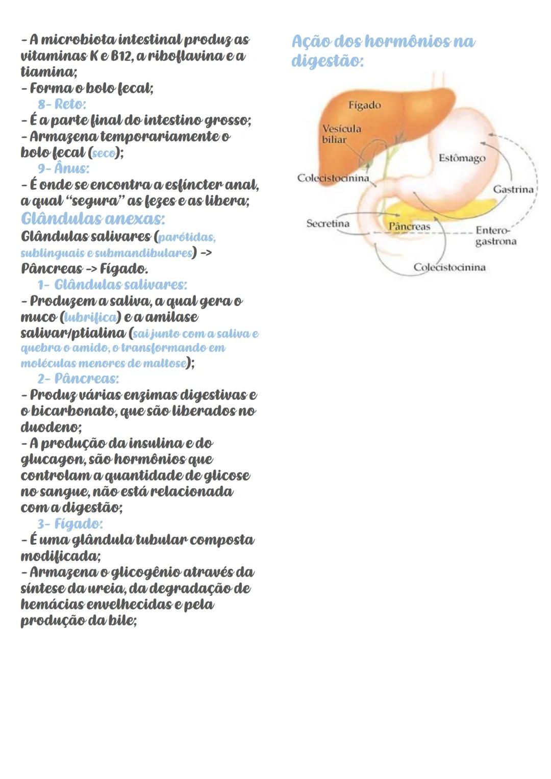 # Sistema digestório
**Função:**
Absorver os nutrientes dos
alimentos, e eliminar o resto.
**Órgãos:**
Boca -> Faringe -> Esôfago ->
Estôm