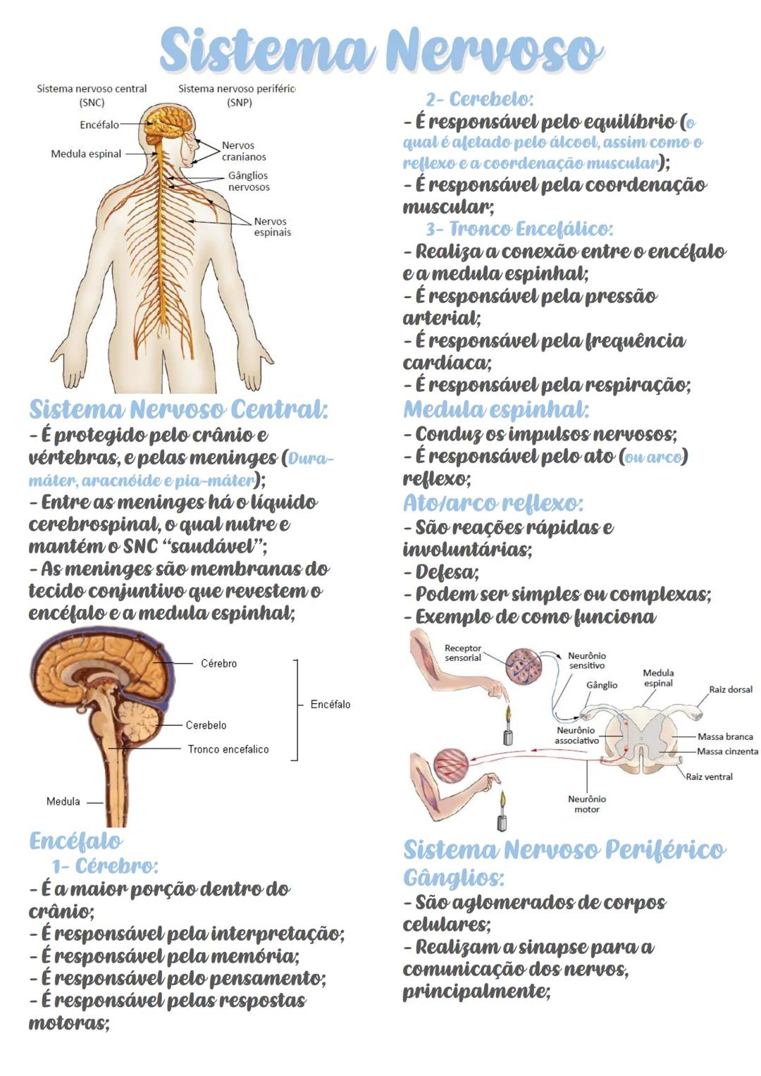 # Sistema Nervoso
Sistema nervoso central
(SNC)
Encéfalo
Medula espinal
Sistema nervoso periféric
(SNP)
Nervos
cranianos
Ganglios
nerv