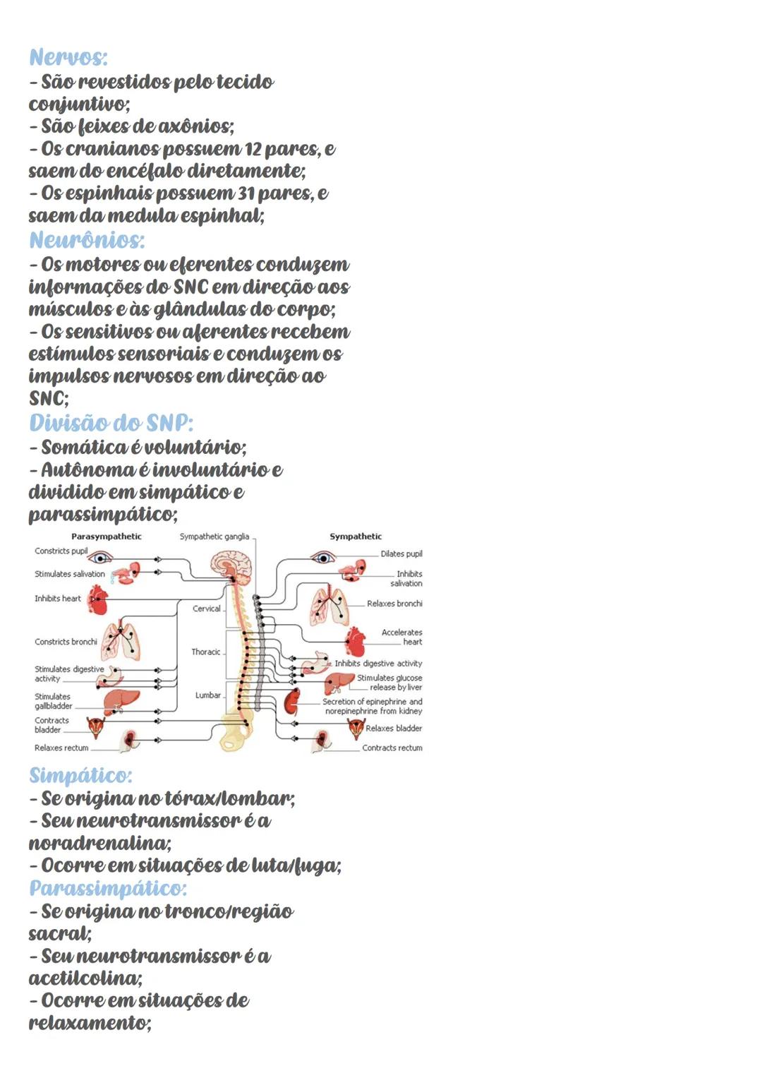 # Sistema Nervoso
Sistema nervoso central
(SNC)
Encéfalo
Medula espinal
Sistema nervoso periféric
(SNP)
Nervos
cranianos
Ganglios
nerv