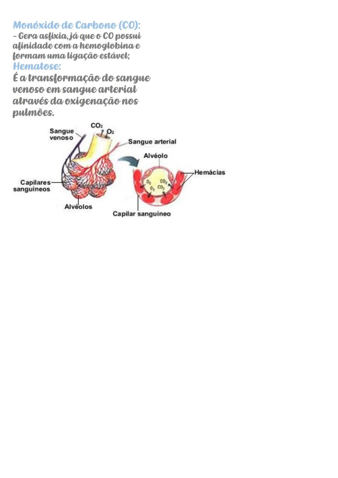 # Sistema Respiratório
Função:
Realizar trocas gasosas (as quais
ocorrem por difusão nos alvéolos
pulmonares) entre o nosso organismo
e o m