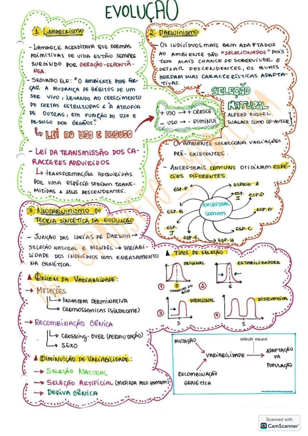 # EVOLUÇAO
1. LAMARCKISMO
-LAMARCK ACREDITAVA QUE FORMAS
PRIMITIVAS DE VIDA ESTÃO SEMPRE
SURGINDO POR GERAÇÃO-ESPONTA-
NEA.
- SEGUNDO ELE