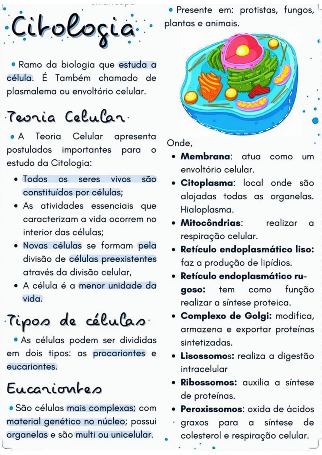 • Presente em: protistas, fungos,
plantas e animais.
Citologia plantas
• Ramo da biologia que estuda a
célula. É Também chamado de
plasmalem