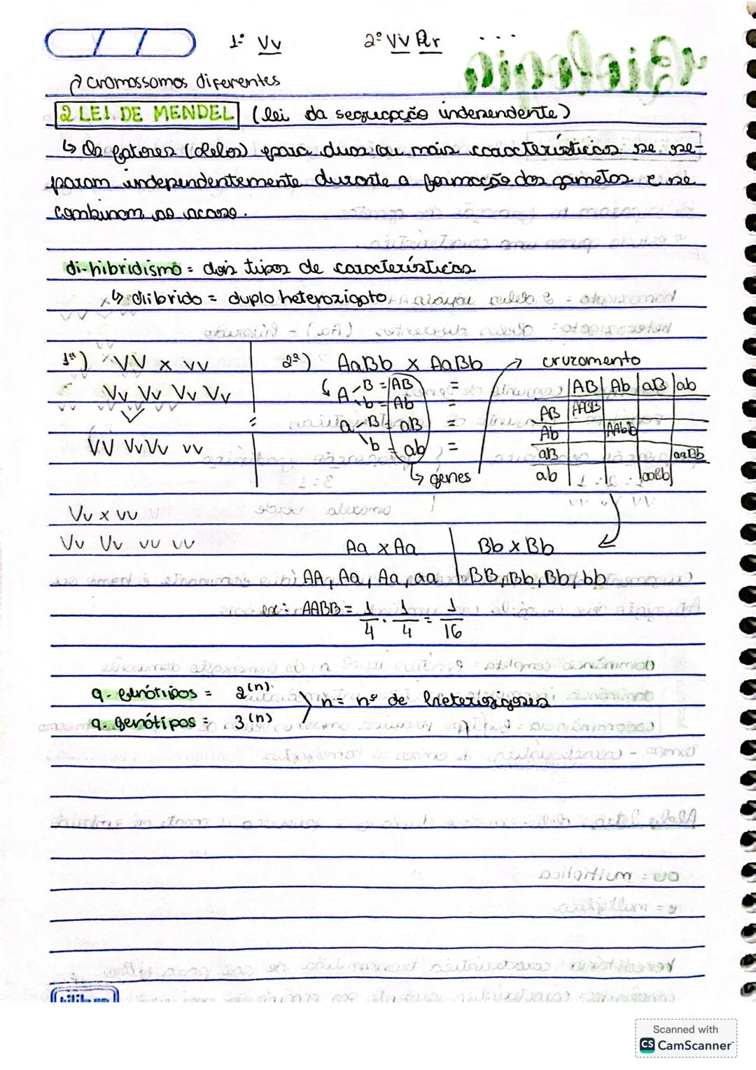 Biologia
autossomica
hevenço monogenica
ALEI DE MENDEL (lei da segegação dos fatores/monikridismo)
is cada caráter é determinado por um pa