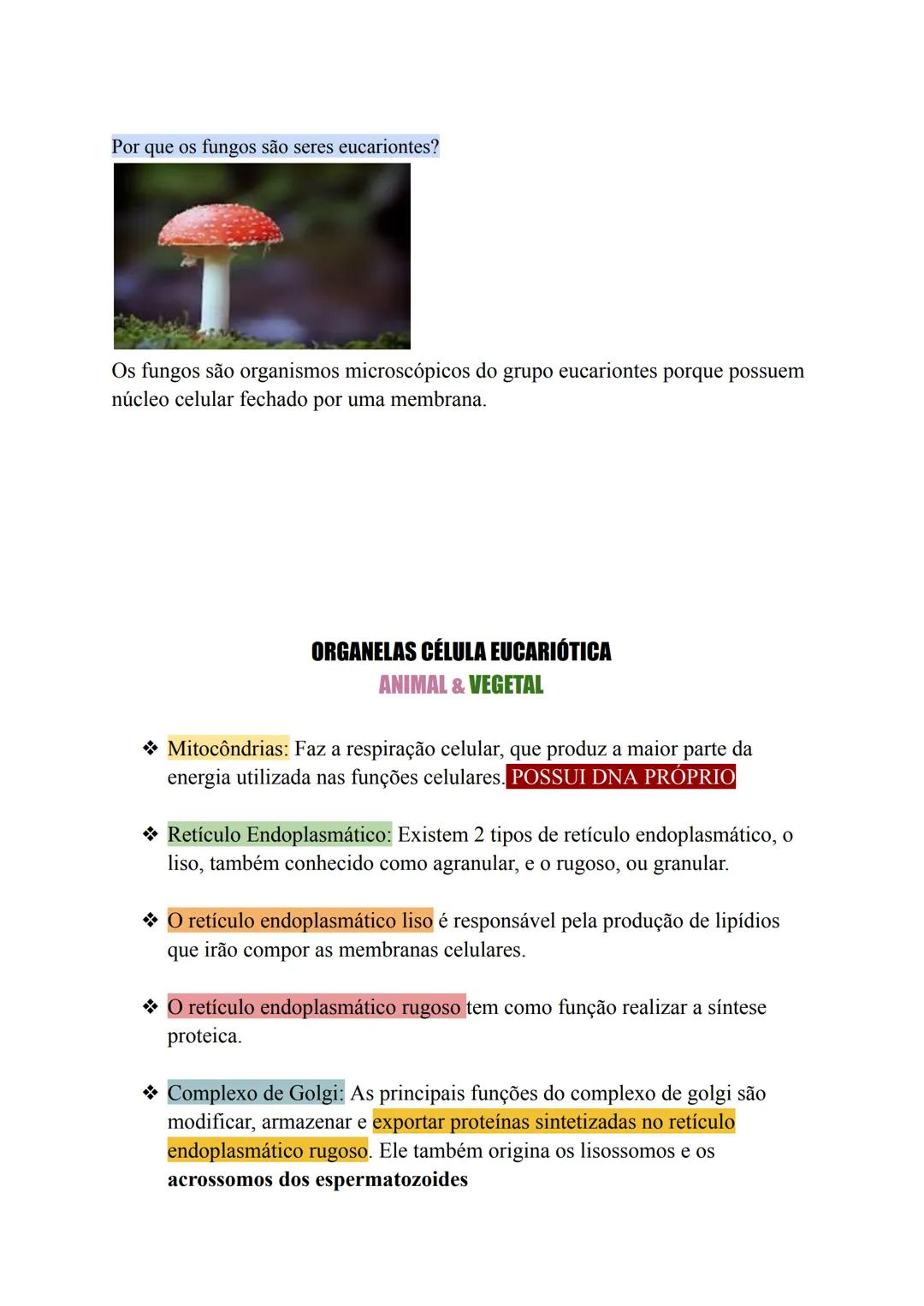 # Citologia
A Teoria Celular apresenta postulados importantes para o estudo da Citologia:
1. Todos os seres vivos são constituídos por célul