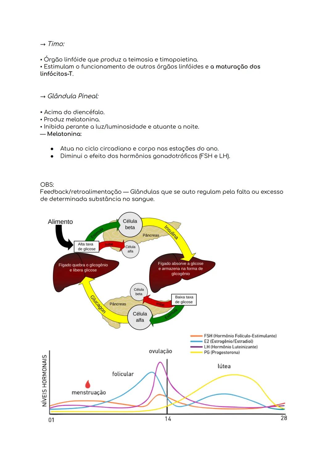 --- OCR Start ---
SISTEMA ENDOCRINO:
O que é?
Manda hormônios para órgãos alvo através da corrente sanguínea. Os hormônios
são substâncias q