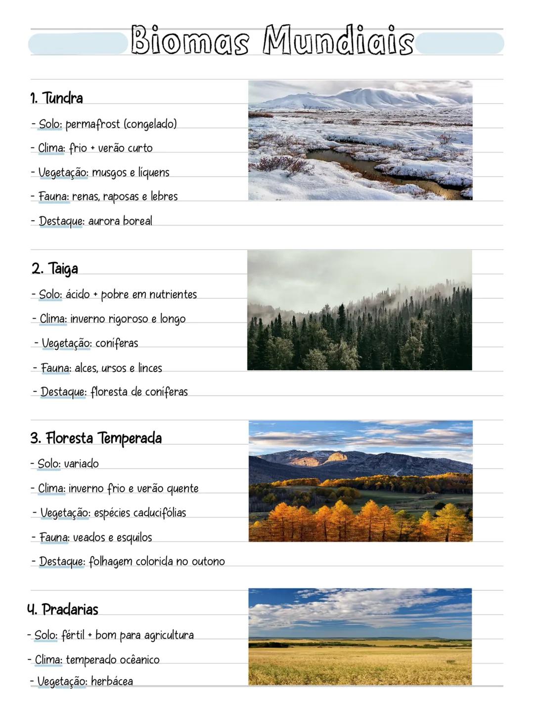 # Biomas Mundiais
1. Tundra
- Solo: permafrost (congelado)
- Clima: frio + verão curto
- Vegetação: musgos e liquens
- Fauna: renas, raposa