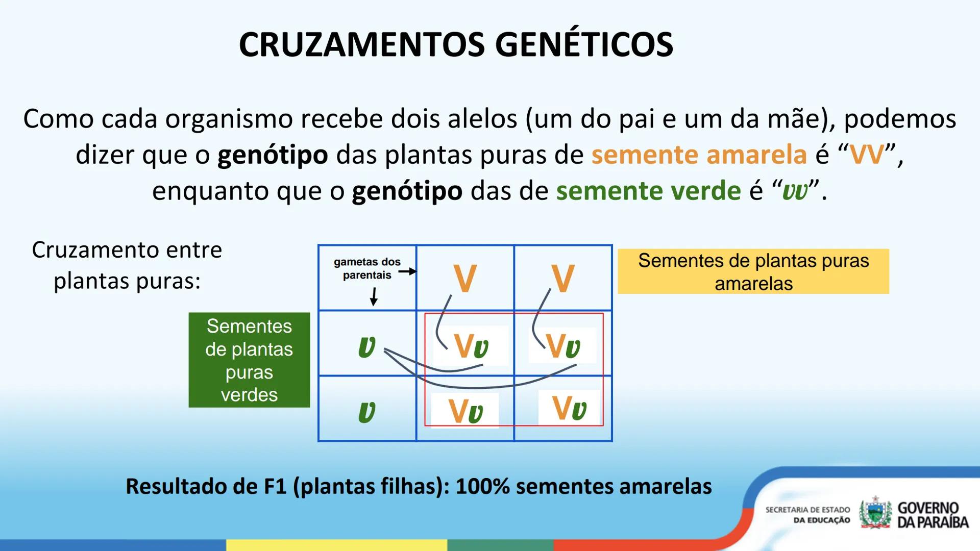--- OCR Start ---
PRIMEIRA LEI DE MENDEL
3ª Série
ESCOLA Escola
CIDADÁ Integral
SECRETARIA DE ESTADO
DA EDUCAÇÃO
GOVERNO
DA PARAÍBA
--- OCR