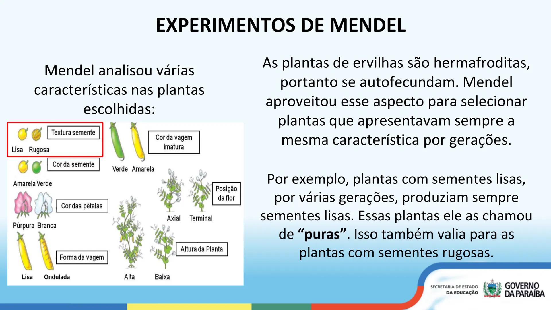 --- OCR Start ---
PRIMEIRA LEI DE MENDEL
3ª Série
ESCOLA Escola
CIDADÁ Integral
SECRETARIA DE ESTADO
DA EDUCAÇÃO
GOVERNO
DA PARAÍBA
--- OCR