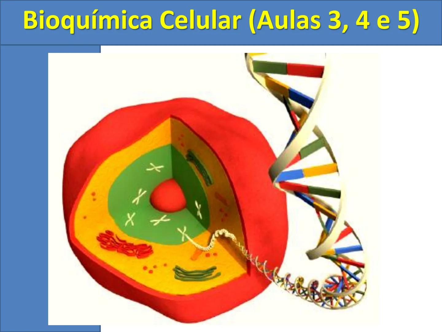 # Bioquímica Celular (Aulas 3, 4 e 5) # Bioquímica Celular
1) Introdução
A bioquímica celular é o ramo da biologia que estuda a composição