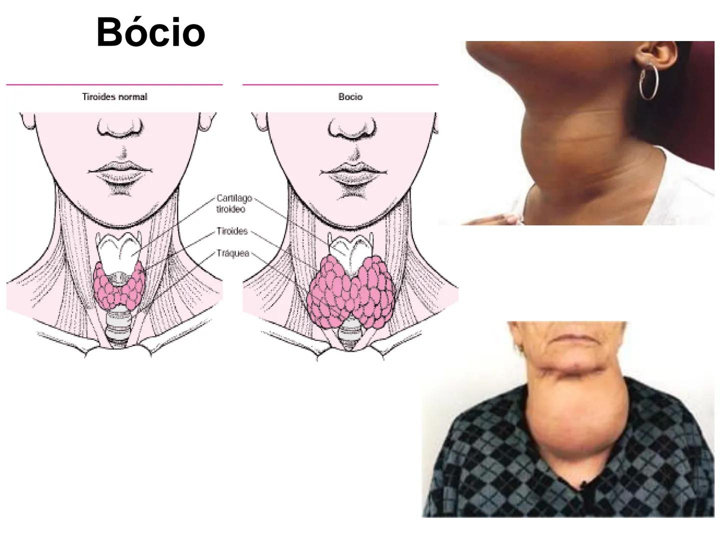 # Bioquímica Celular (Aulas 3, 4 e 5) # Bioquímica Celular
1) Introdução
A bioquímica celular é o ramo da biologia que estuda a composição