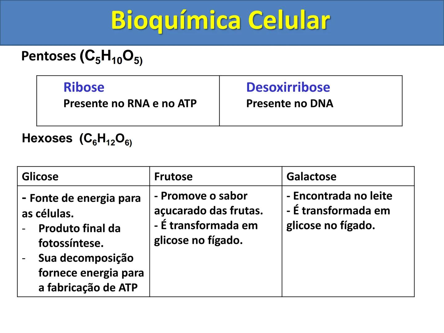 # Bioquímica Celular (Aulas 3, 4 e 5) # Bioquímica Celular
1) Introdução
A bioquímica celular é o ramo da biologia que estuda a composição