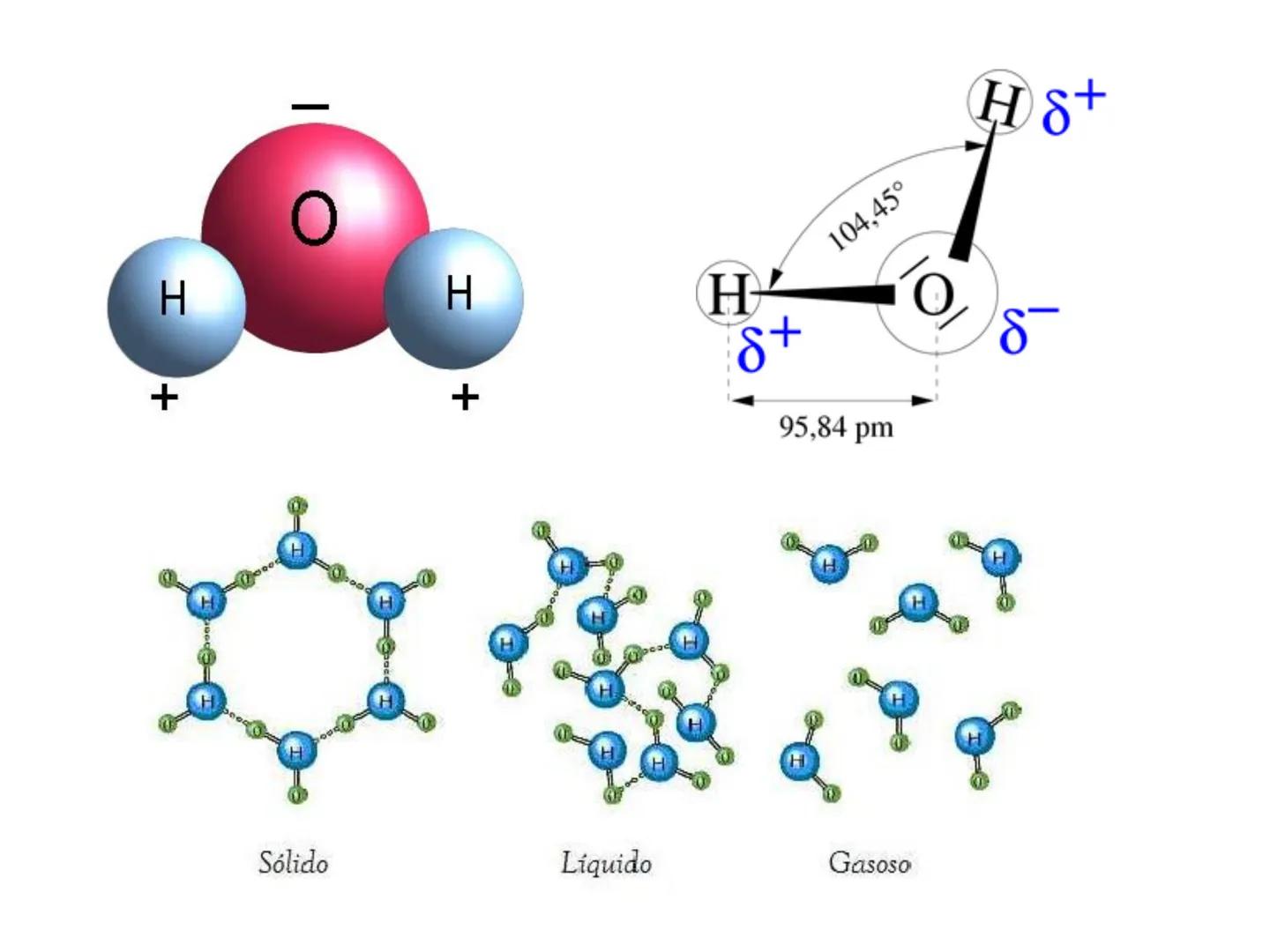 # Bioquímica Celular (Aulas 3, 4 e 5) # Bioquímica Celular
1) Introdução
A bioquímica celular é o ramo da biologia que estuda a composição