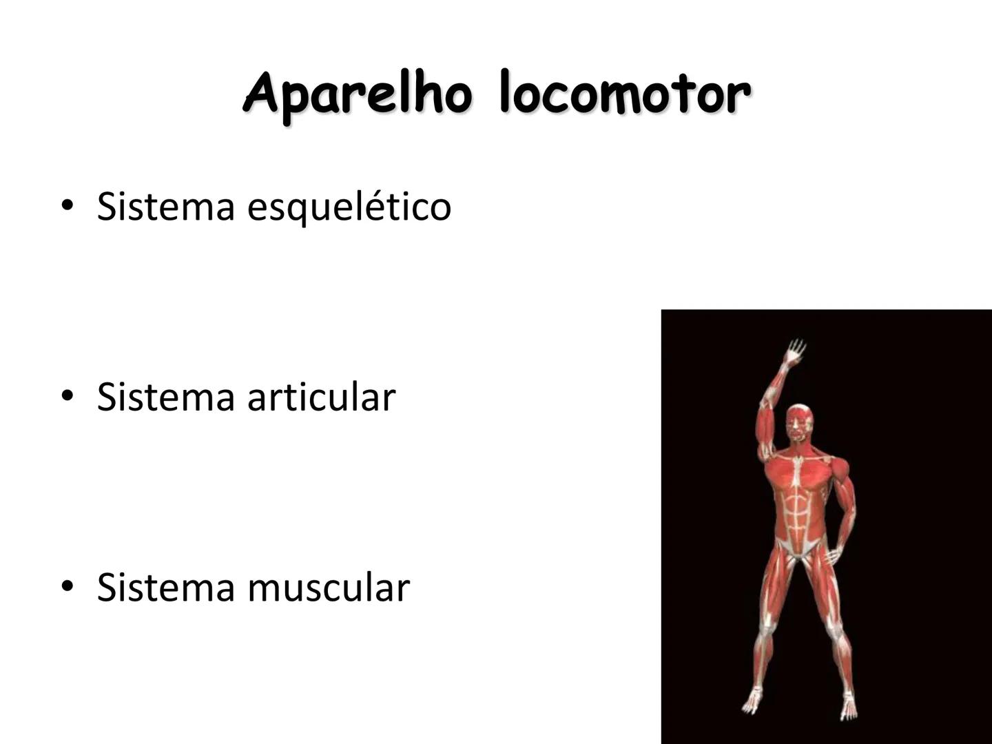 --- OCR Start ---
Conteúdos a serem estudados neste
ano.
• Sistema Muscular
• Componentes da Aptidão Física Relacionada à Saúde
• Sistema Ca