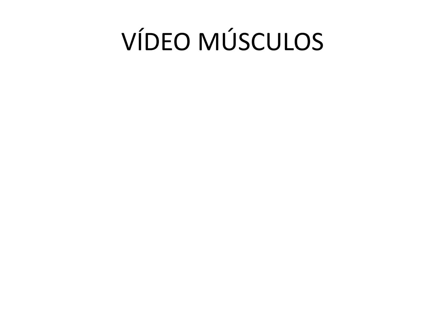 --- OCR Start ---
Conteúdos a serem estudados neste
ano.
• Sistema Muscular
• Componentes da Aptidão Física Relacionada à Saúde
• Sistema Ca