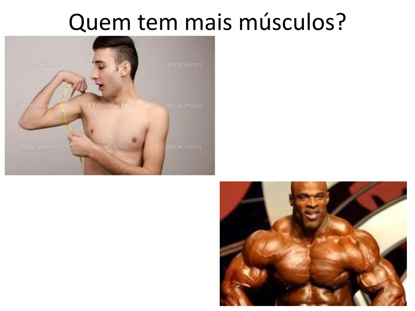 --- OCR Start ---
Conteúdos a serem estudados neste
ano.
• Sistema Muscular
• Componentes da Aptidão Física Relacionada à Saúde
• Sistema Ca