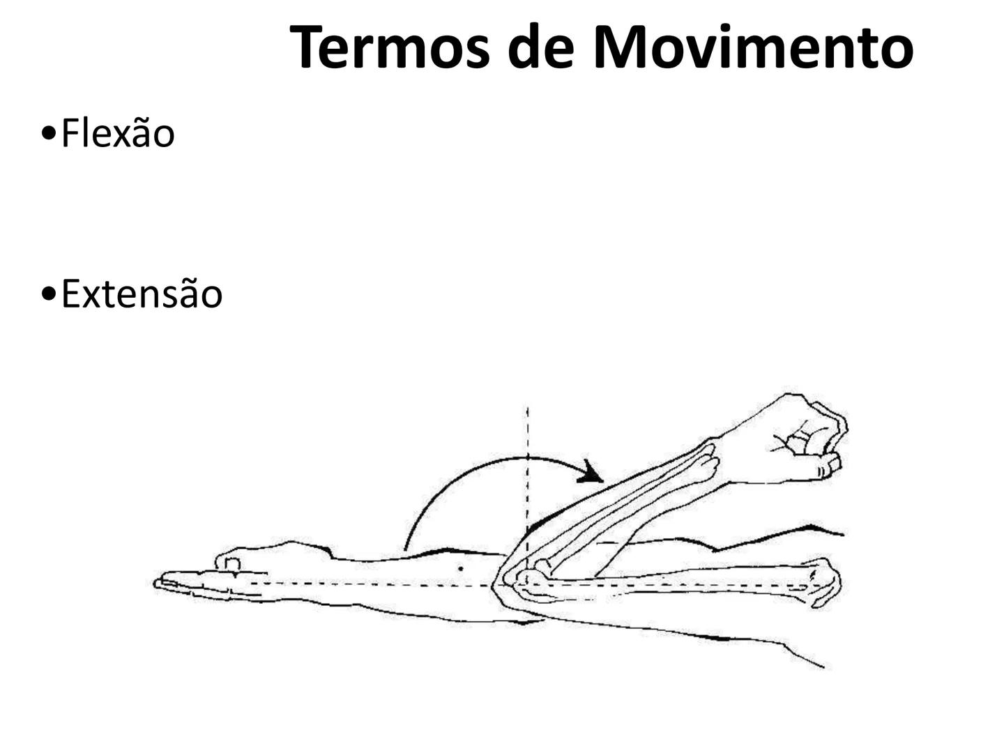 --- OCR Start ---
Conteúdos a serem estudados neste
ano.
• Sistema Muscular
• Componentes da Aptidão Física Relacionada à Saúde
• Sistema Ca