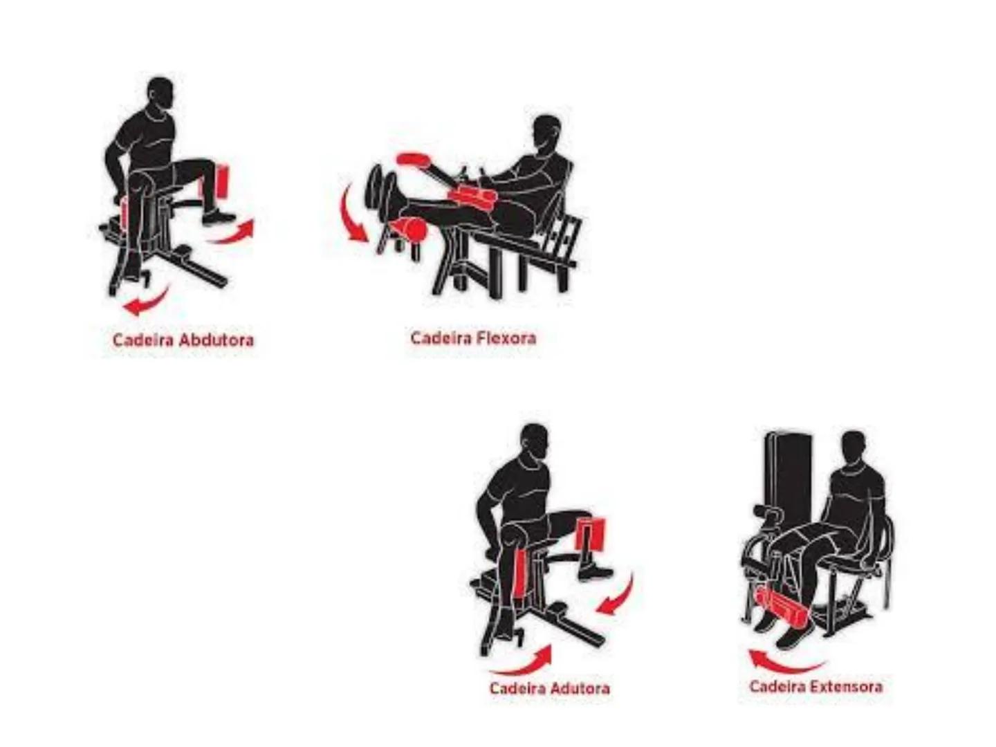 --- OCR Start ---
Conteúdos a serem estudados neste
ano.
• Sistema Muscular
• Componentes da Aptidão Física Relacionada à Saúde
• Sistema Ca