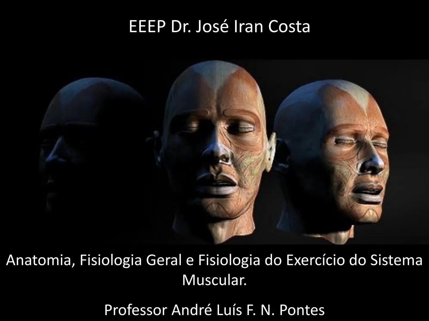 --- OCR Start ---
Conteúdos a serem estudados neste
ano.
• Sistema Muscular
• Componentes da Aptidão Física Relacionada à Saúde
• Sistema Ca