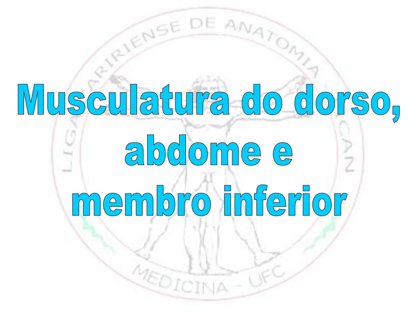 --- OCR Start ---
Conteúdos a serem estudados neste
ano.
• Sistema Muscular
• Componentes da Aptidão Física Relacionada à Saúde
• Sistema Ca