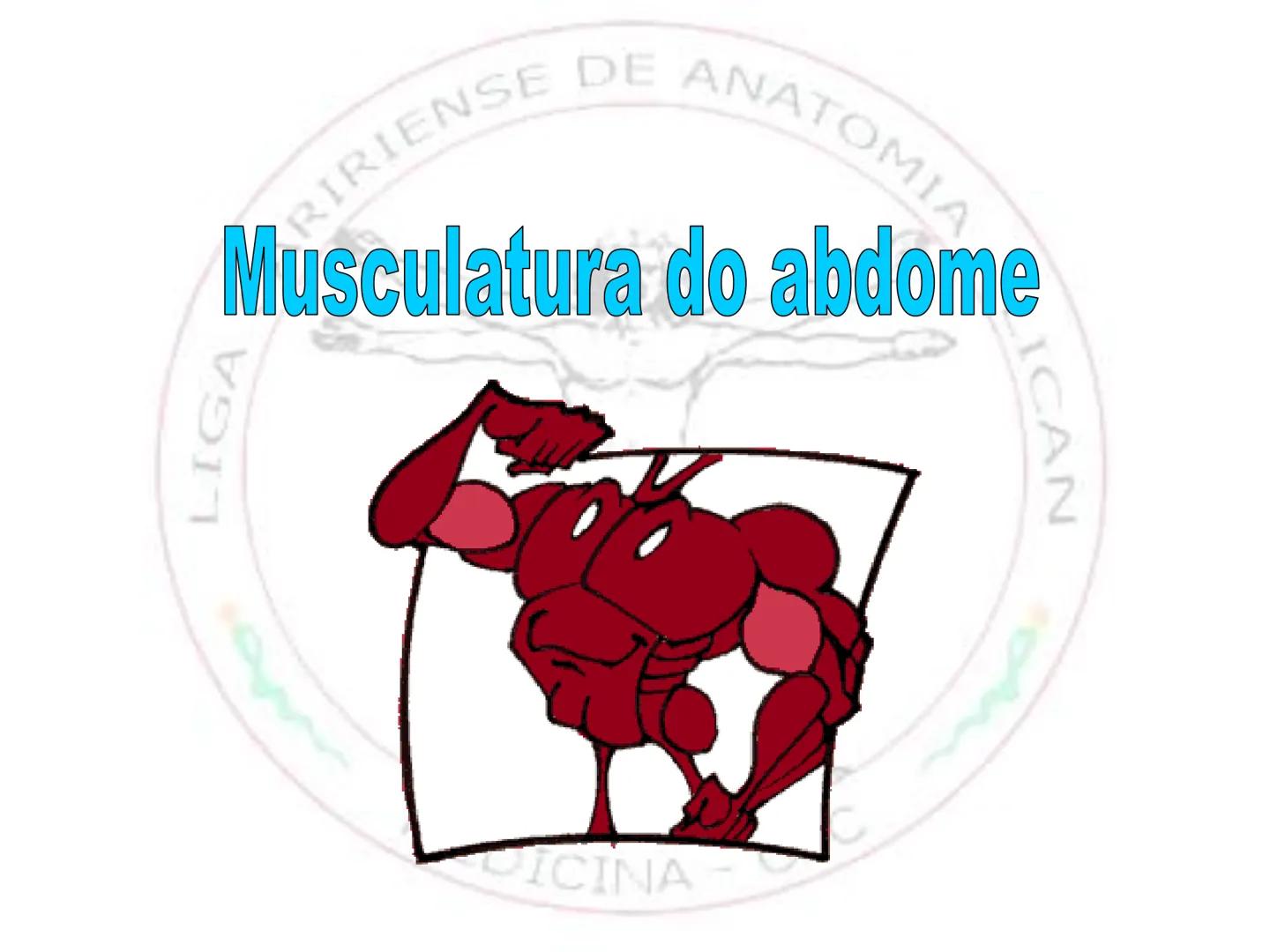 --- OCR Start ---
Conteúdos a serem estudados neste
ano.
• Sistema Muscular
• Componentes da Aptidão Física Relacionada à Saúde
• Sistema Ca
