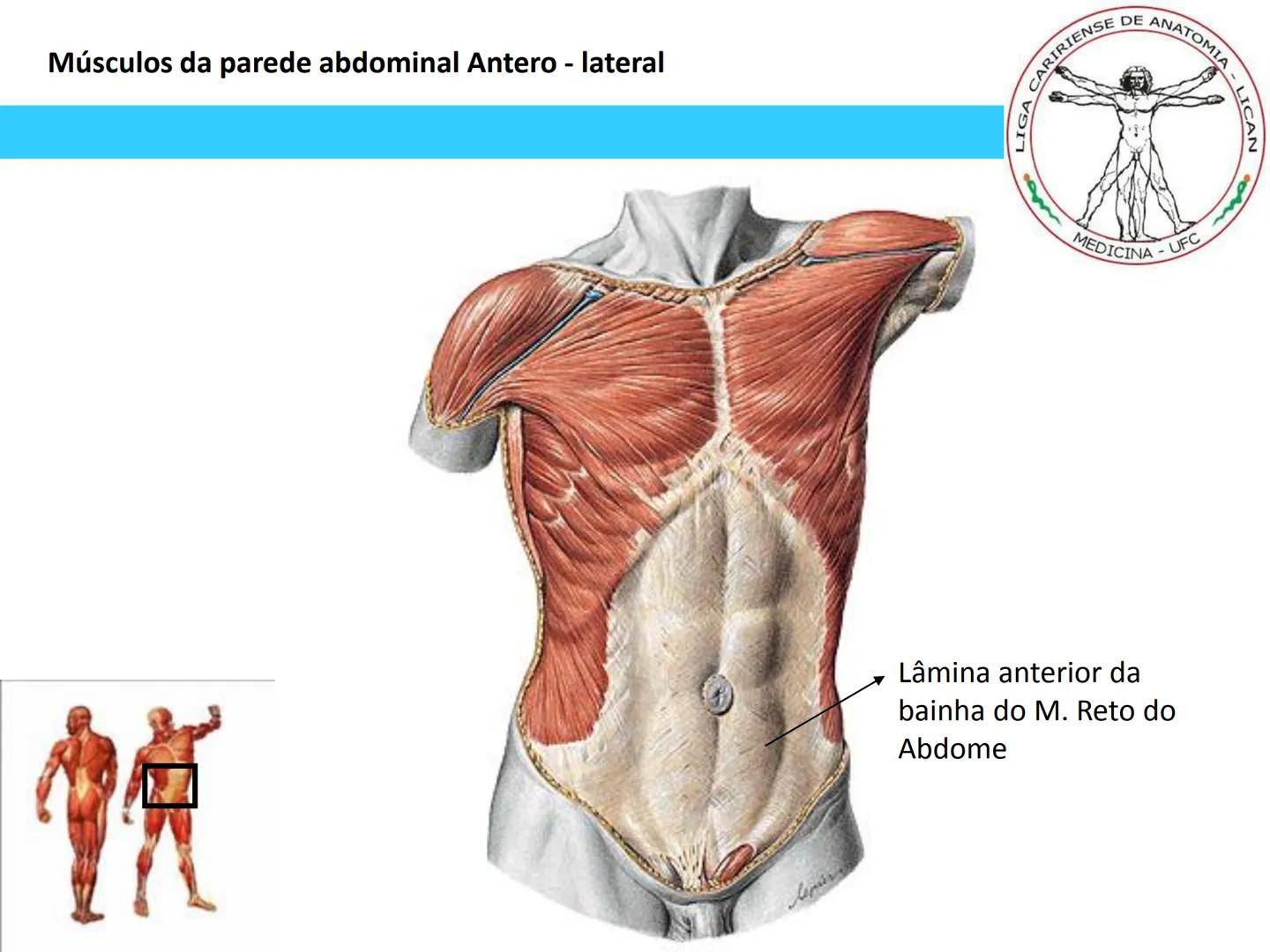 --- OCR Start ---
Conteúdos a serem estudados neste
ano.
• Sistema Muscular
• Componentes da Aptidão Física Relacionada à Saúde
• Sistema Ca