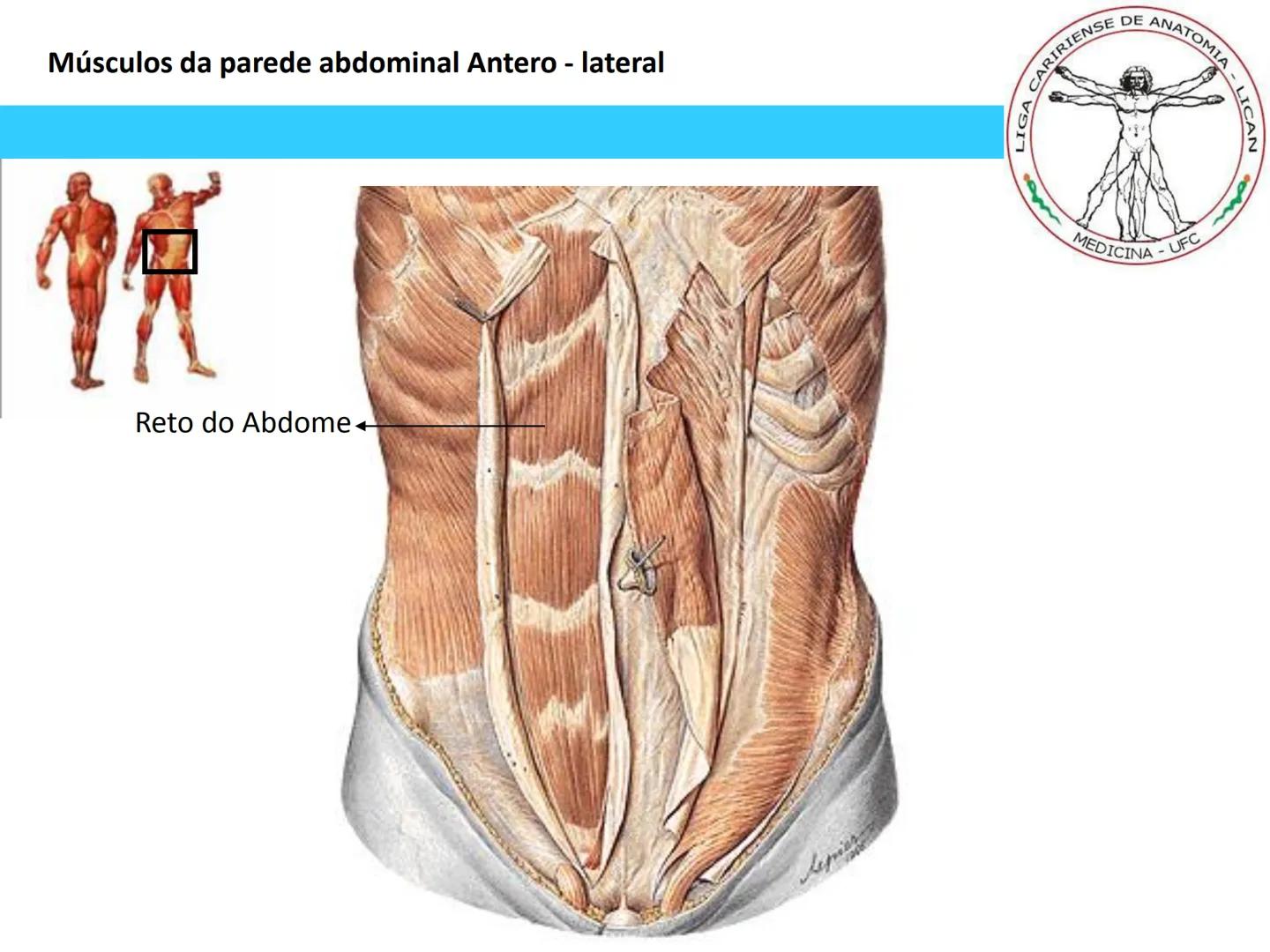 --- OCR Start ---
Conteúdos a serem estudados neste
ano.
• Sistema Muscular
• Componentes da Aptidão Física Relacionada à Saúde
• Sistema Ca