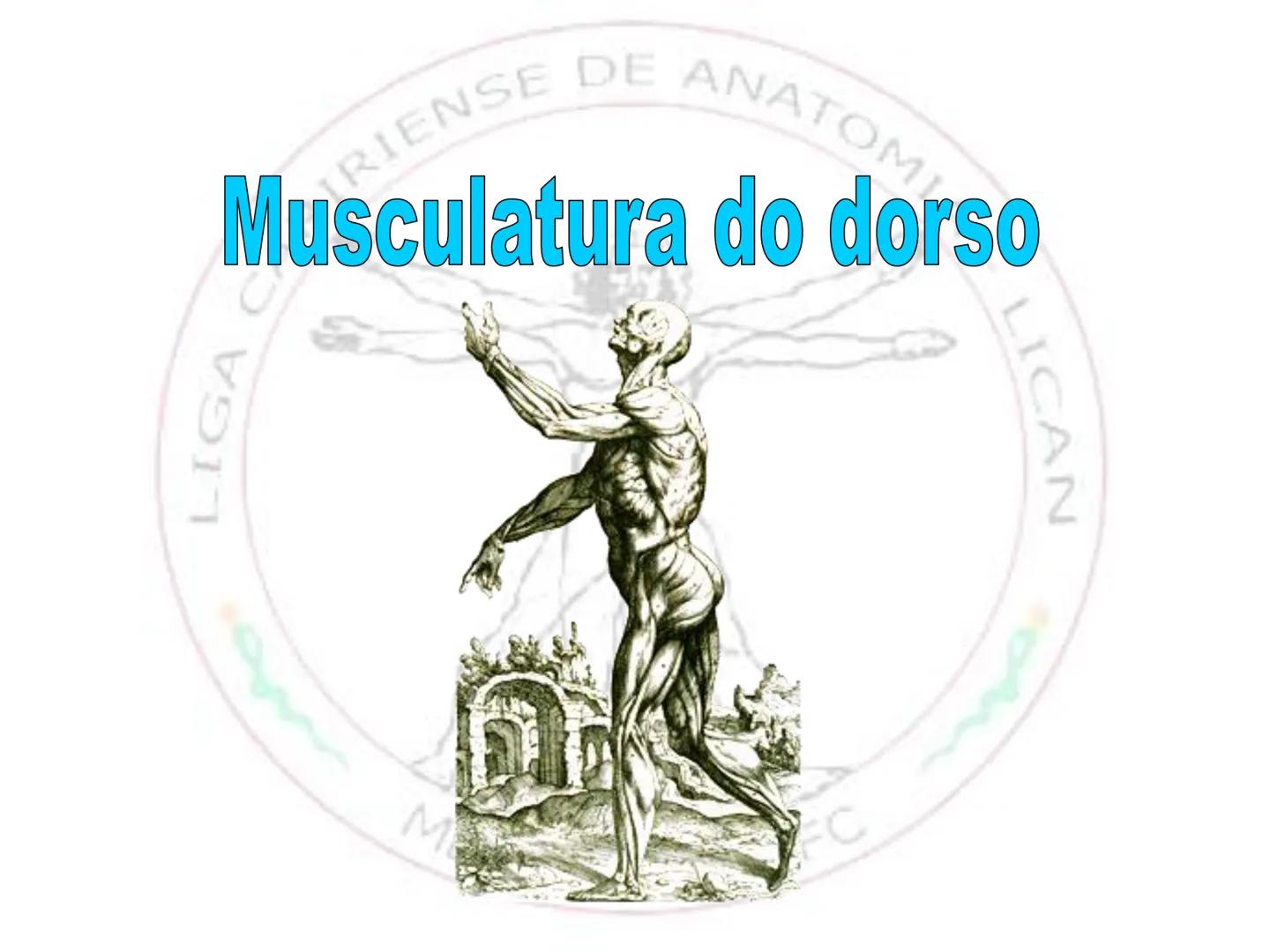 --- OCR Start ---
Conteúdos a serem estudados neste
ano.
• Sistema Muscular
• Componentes da Aptidão Física Relacionada à Saúde
• Sistema Ca