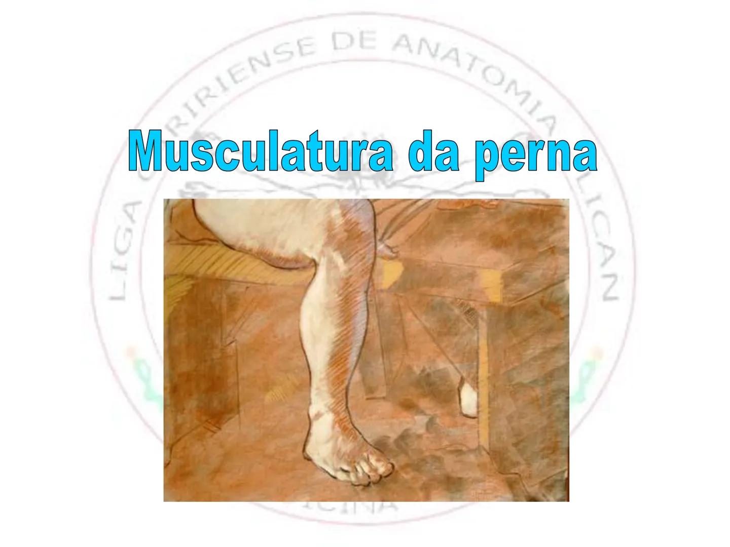 --- OCR Start ---
Conteúdos a serem estudados neste
ano.
• Sistema Muscular
• Componentes da Aptidão Física Relacionada à Saúde
• Sistema Ca