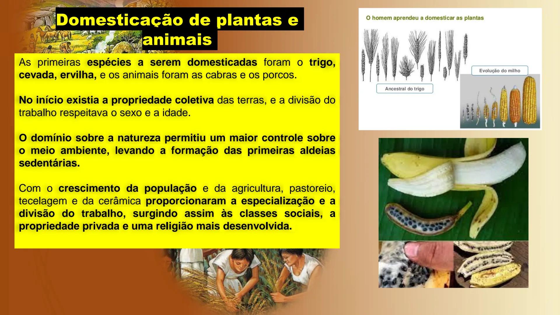 # A EVOLUÇÃO HUMANA E A
# PRÉ - HISTÓRIA # A EVOLUÇÃO
* Teoria proposta por Charles Darwin
* Os vestígios fósseis são a principal font