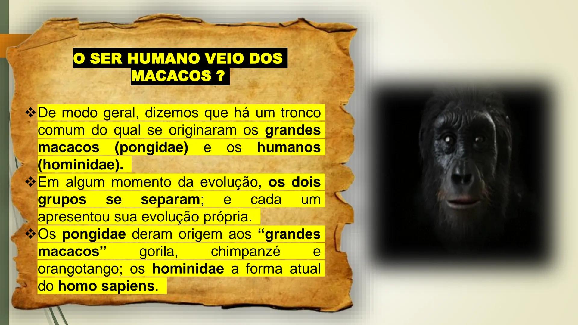# A EVOLUÇÃO HUMANA E A
# PRÉ - HISTÓRIA # A EVOLUÇÃO
* Teoria proposta por Charles Darwin
* Os vestígios fósseis são a principal font
