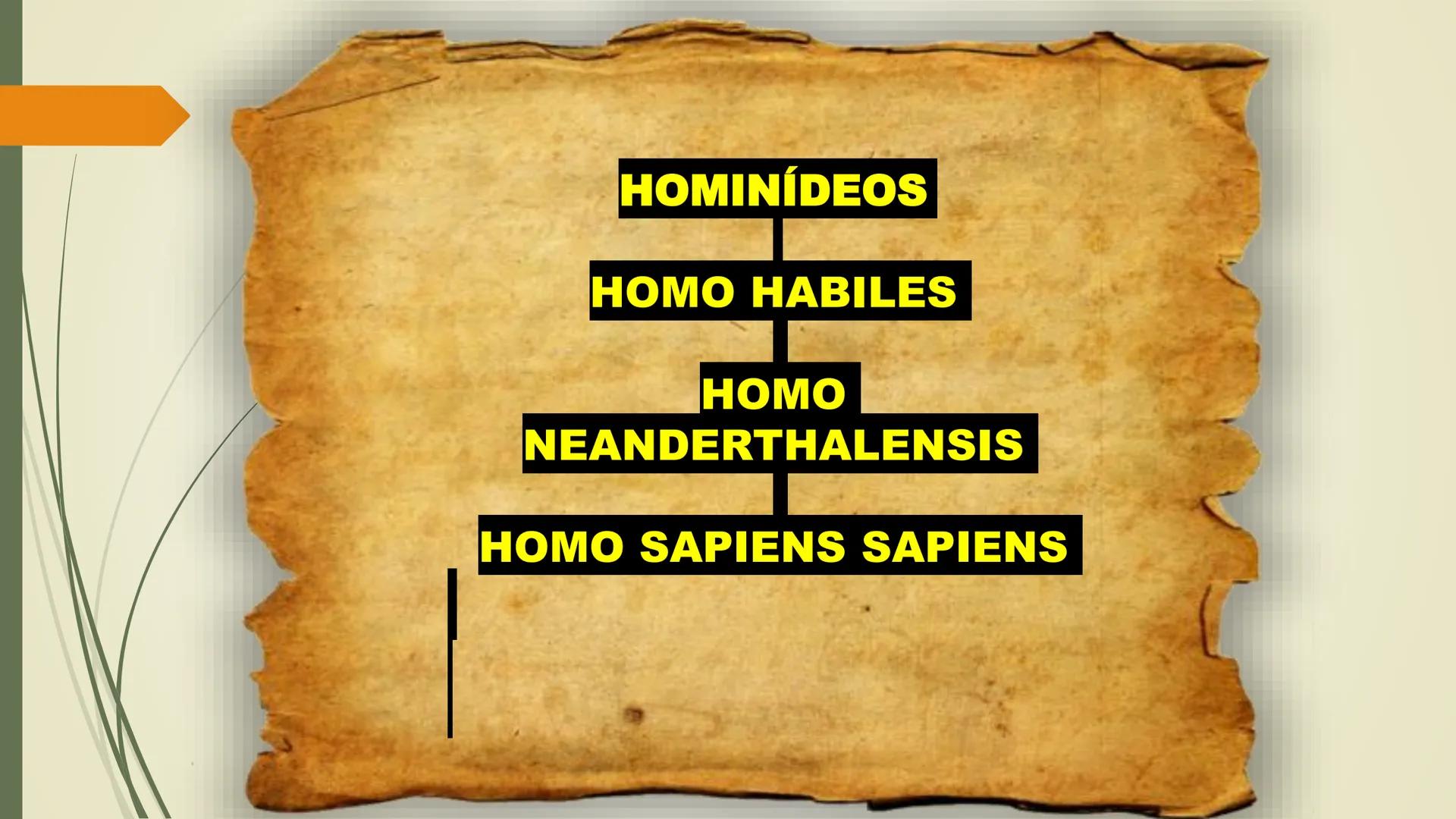 # A EVOLUÇÃO HUMANA E A
# PRÉ - HISTÓRIA # A EVOLUÇÃO
* Teoria proposta por Charles Darwin
* Os vestígios fósseis são a principal font