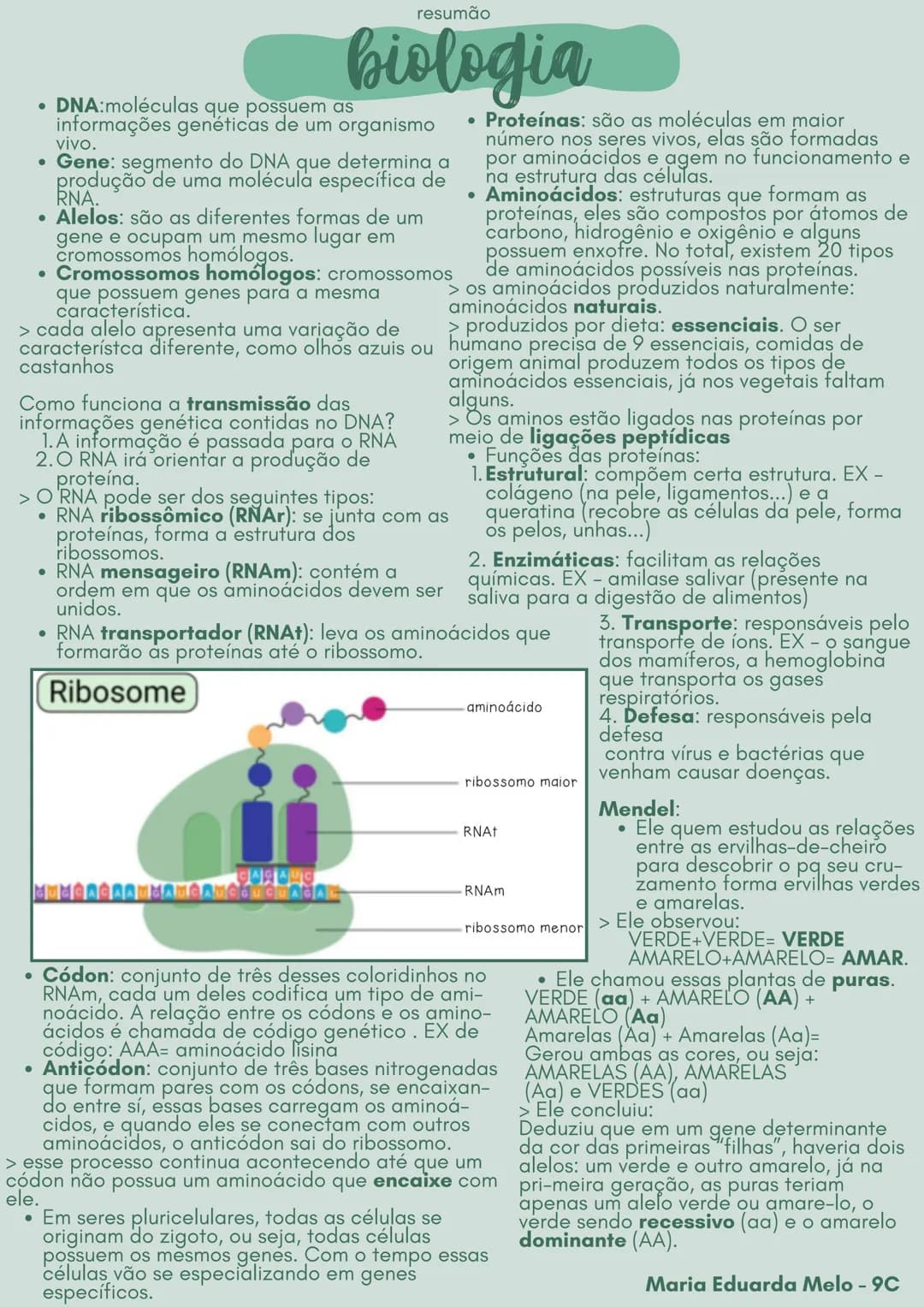 resumão
biologia
DNA:moléculas que possuem as
informações genéticas de um organismo
vivo.
Gene: segmento do DNA que determina a
produção de