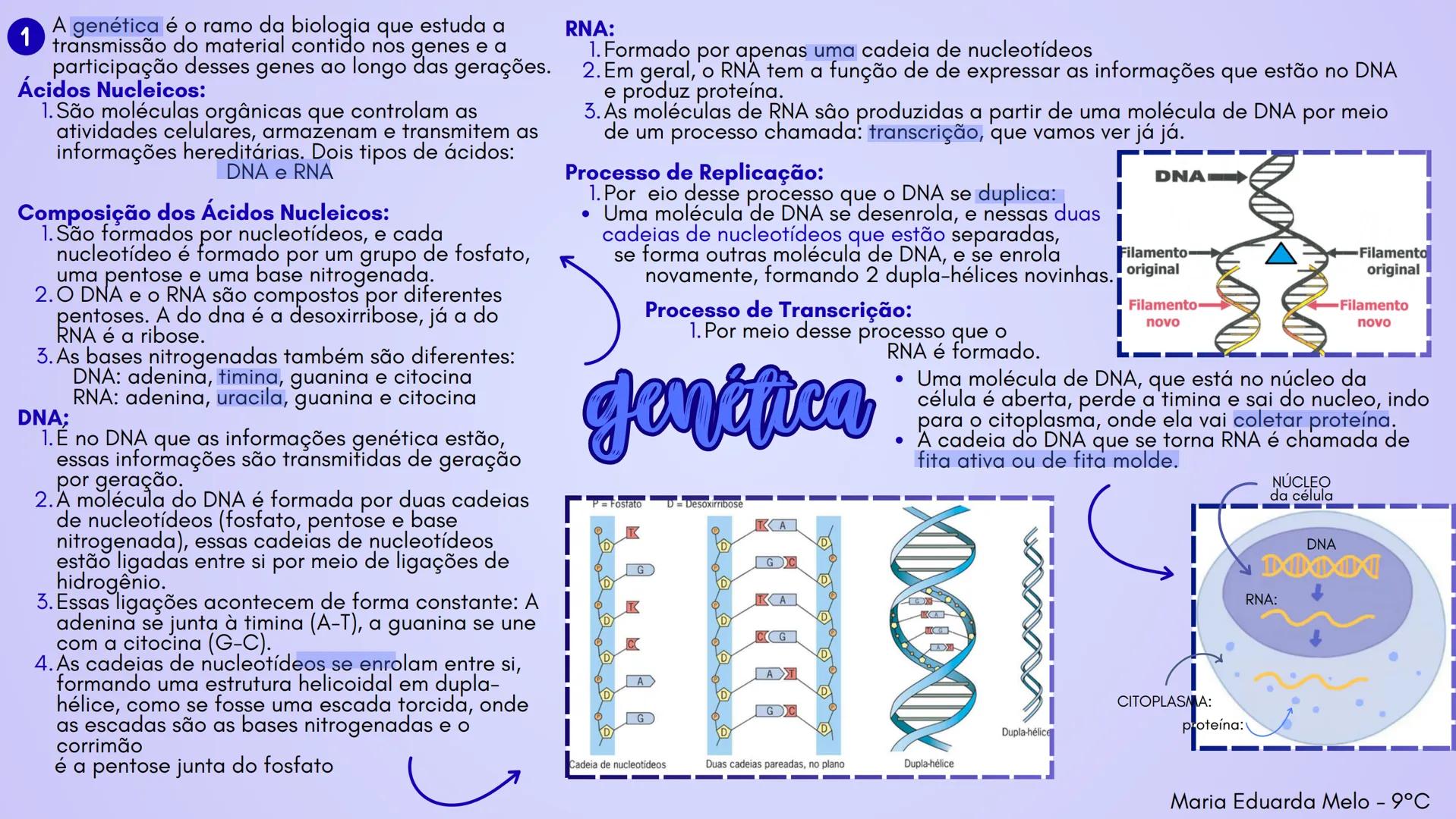 A genética é o ramo da biologia que estuda a
1 transmissão do material contido nos genes e a
participação desses genes ao longo das gerações