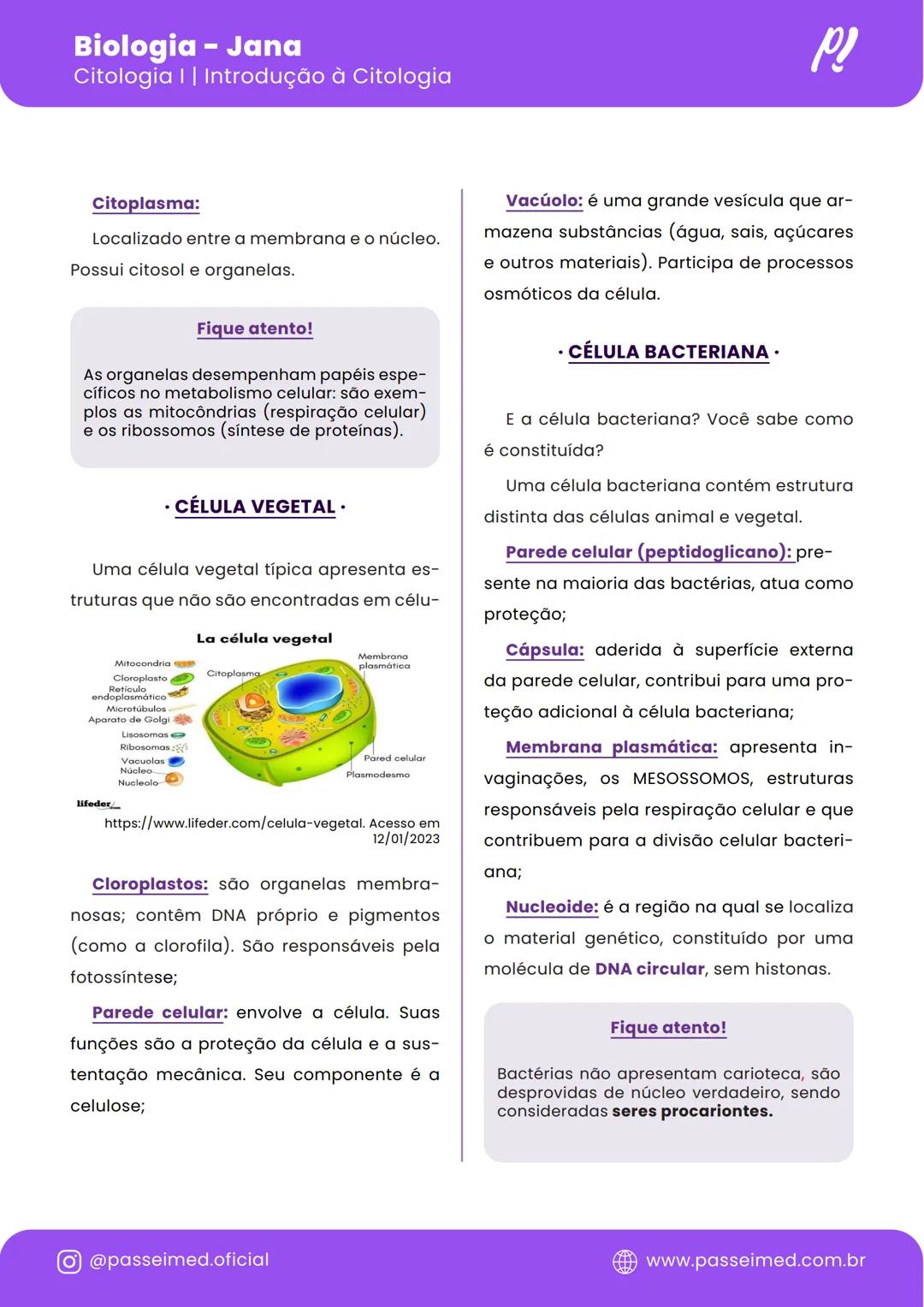 # Biologia
---
**Citologia I** **Introdução à Citologia**
---
*passeimed!* Biologia - Jana
Citologia | | Introdução à Citologia
INTR