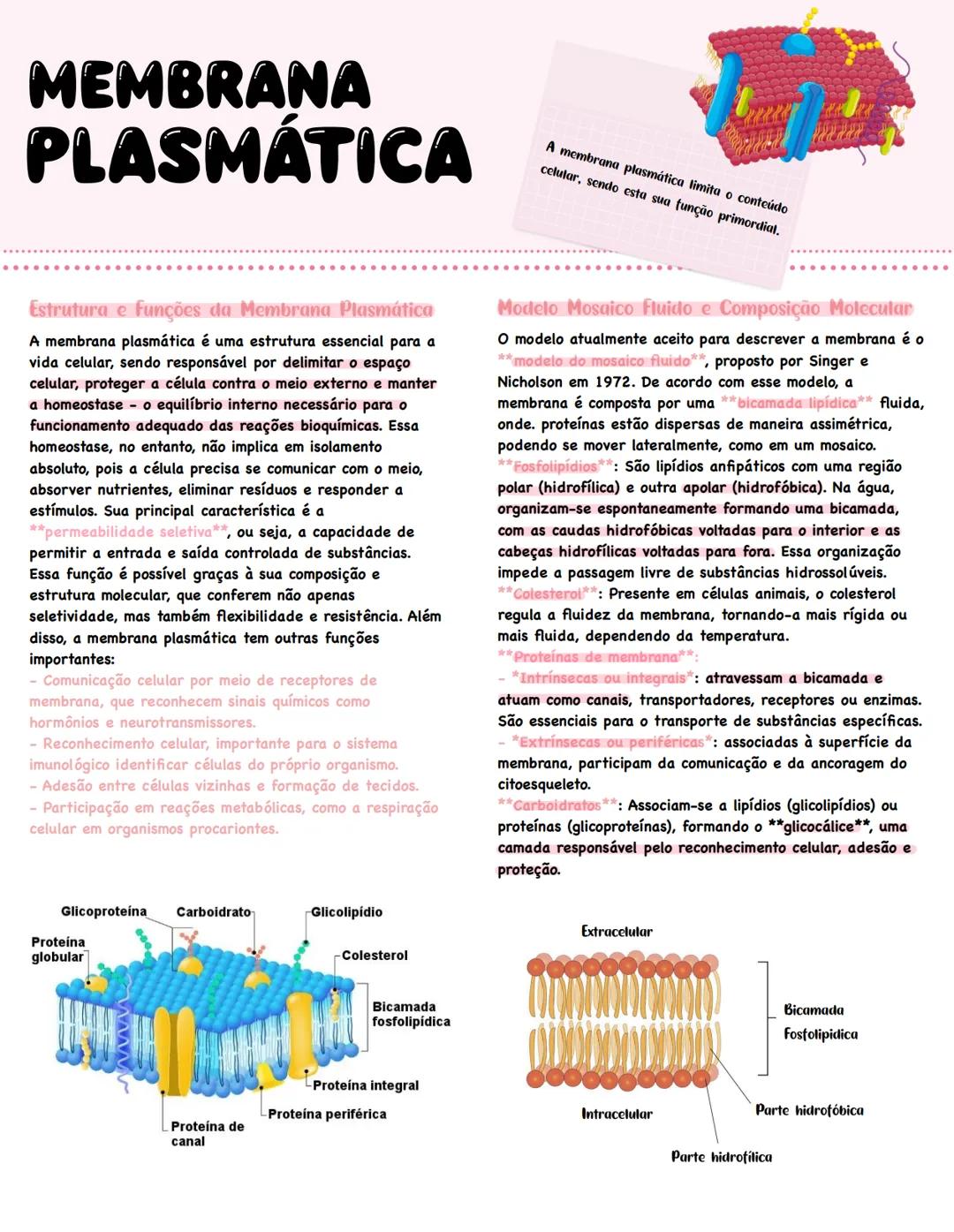 Membrana plasmática