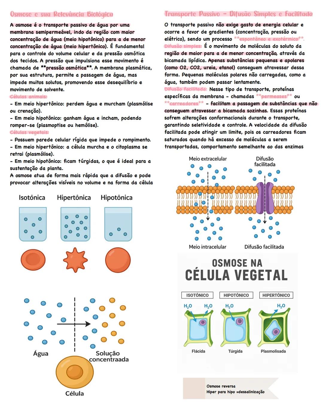MEMBRANA
PLASMÁTICA
Estrutura e Funções da Membrana Plasmática
A membrana plasmática é uma estrutura essencial para a
vida celular, sendo re