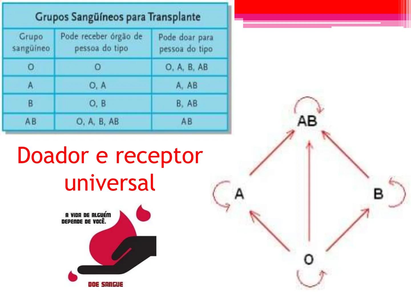 # Tipos sanguíneos e Eritroblastose
Fetal # Sistema ABO - alelos múltiples # A descoberta dos grupos sanguíneos
- Estudado em 1900pelo médi