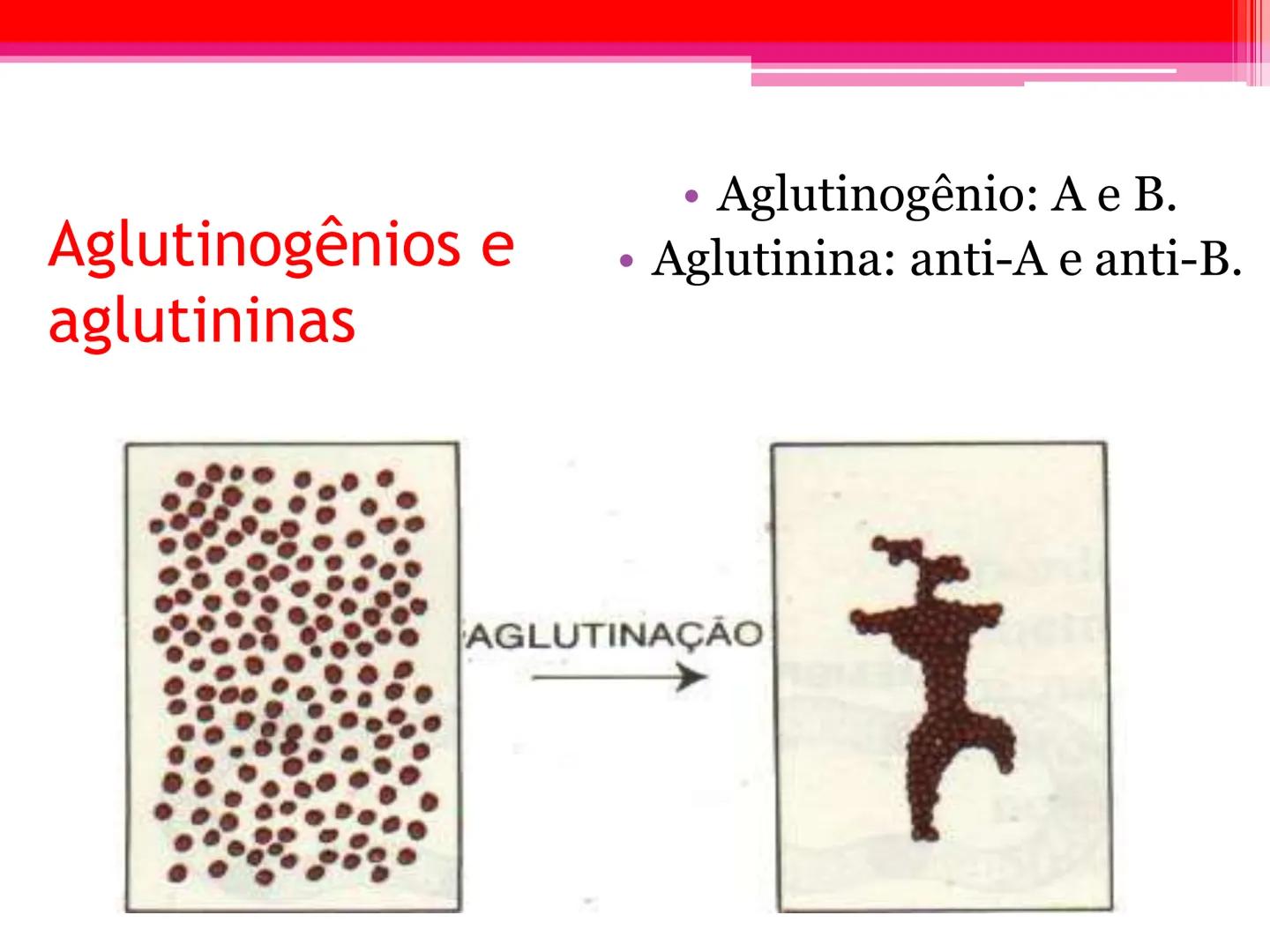 # Tipos sanguíneos e Eritroblastose
Fetal # Sistema ABO - alelos múltiples # A descoberta dos grupos sanguíneos
- Estudado em 1900pelo médi