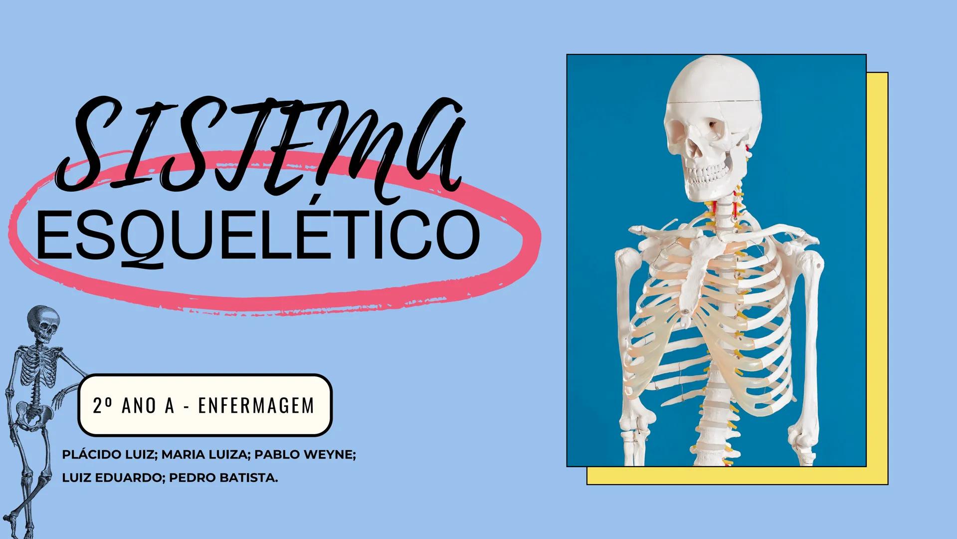 # SISTEMA
ESQUELÉTICO
2º ANO A - ENFERMAGEM
PLÁCIDO LUIZ; MARIA LUIZA; PABLO WEYNE;
LUIZ EDUARDO; PEDRO BATISTA. # INTRODUÇÃO:
O esquelet