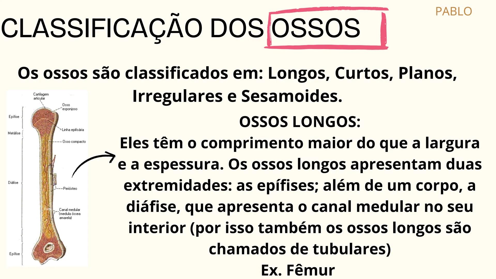 # SISTEMA
ESQUELÉTICO
2º ANO A - ENFERMAGEM
PLÁCIDO LUIZ; MARIA LUIZA; PABLO WEYNE;
LUIZ EDUARDO; PEDRO BATISTA. # INTRODUÇÃO:
O esquelet