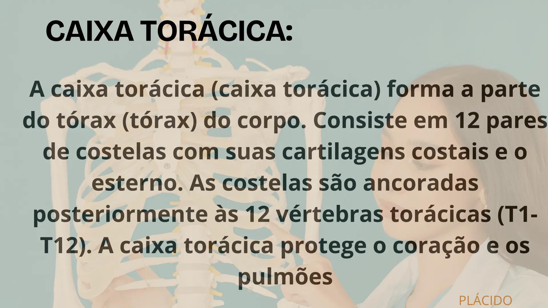 # SISTEMA
ESQUELÉTICO
2º ANO A - ENFERMAGEM
PLÁCIDO LUIZ; MARIA LUIZA; PABLO WEYNE;
LUIZ EDUARDO; PEDRO BATISTA. # INTRODUÇÃO:
O esquelet