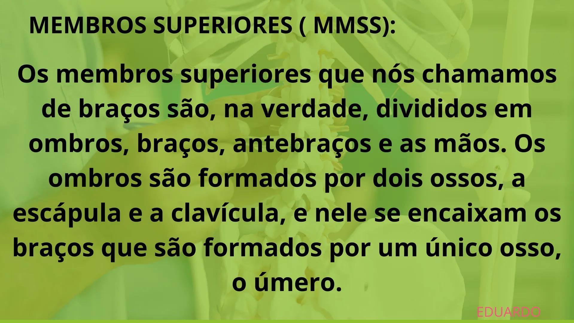 # SISTEMA
ESQUELÉTICO
2º ANO A - ENFERMAGEM
PLÁCIDO LUIZ; MARIA LUIZA; PABLO WEYNE;
LUIZ EDUARDO; PEDRO BATISTA. # INTRODUÇÃO:
O esquelet