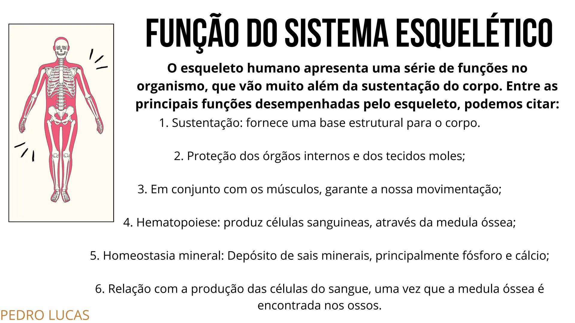 # SISTEMA
ESQUELÉTICO
2º ANO A - ENFERMAGEM
PLÁCIDO LUIZ; MARIA LUIZA; PABLO WEYNE;
LUIZ EDUARDO; PEDRO BATISTA. # INTRODUÇÃO:
O esquelet