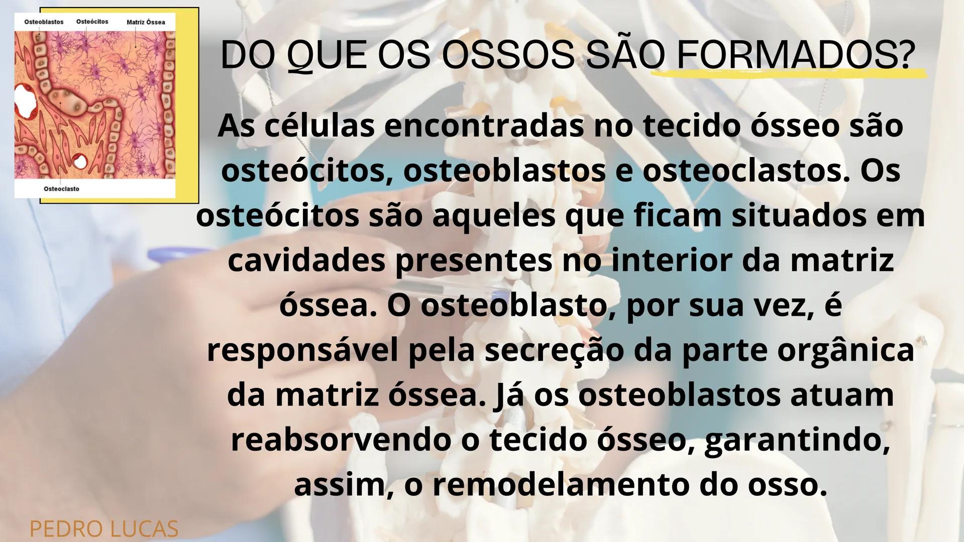 # SISTEMA
ESQUELÉTICO
2º ANO A - ENFERMAGEM
PLÁCIDO LUIZ; MARIA LUIZA; PABLO WEYNE;
LUIZ EDUARDO; PEDRO BATISTA. # INTRODUÇÃO:
O esquelet