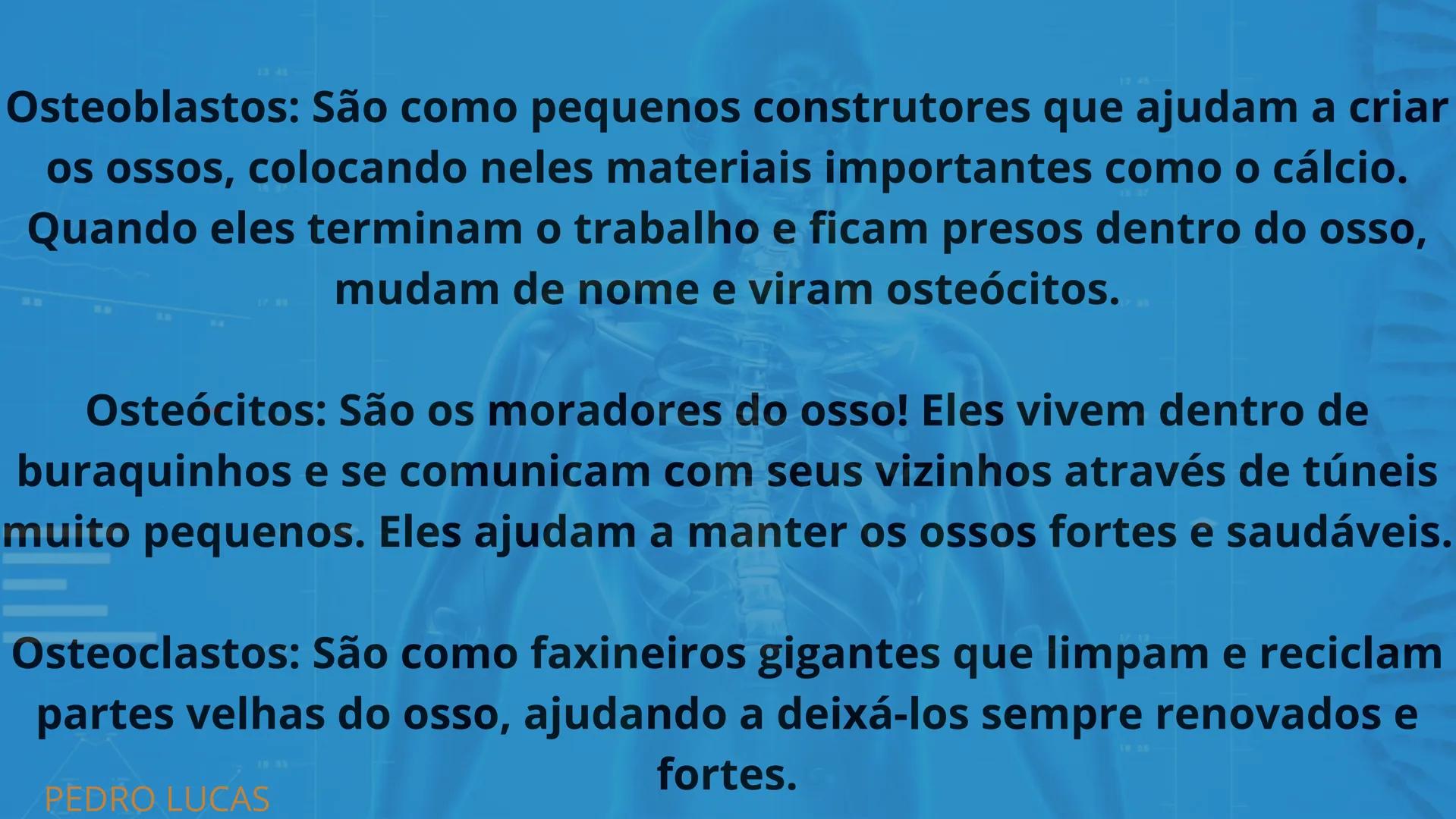 # SISTEMA
ESQUELÉTICO
2º ANO A - ENFERMAGEM
PLÁCIDO LUIZ; MARIA LUIZA; PABLO WEYNE;
LUIZ EDUARDO; PEDRO BATISTA. # INTRODUÇÃO:
O esquelet