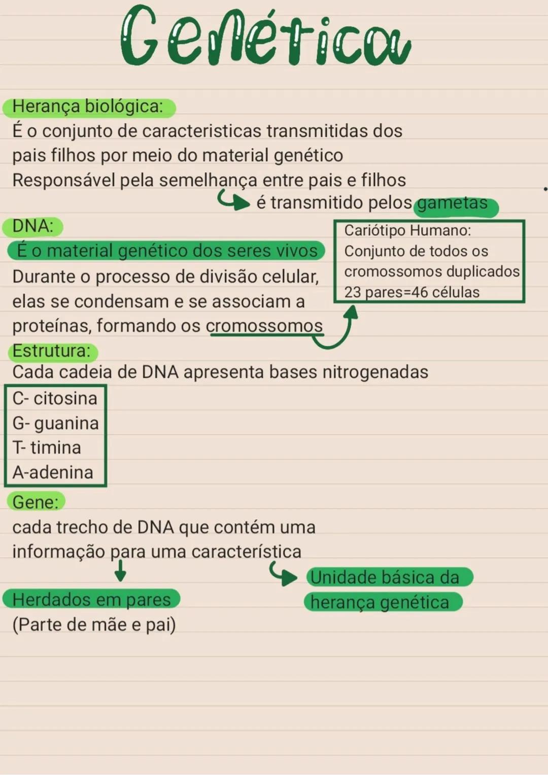 # Genética
Herança biológica:
É o conjunto de caracteristicas transmitidas dos
pais filhos por meio do material genético
Responsável pela s
